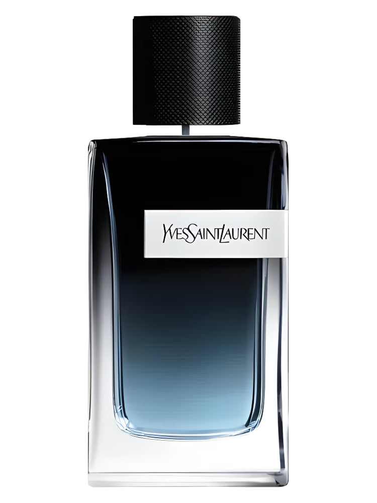 YSL Y EDP